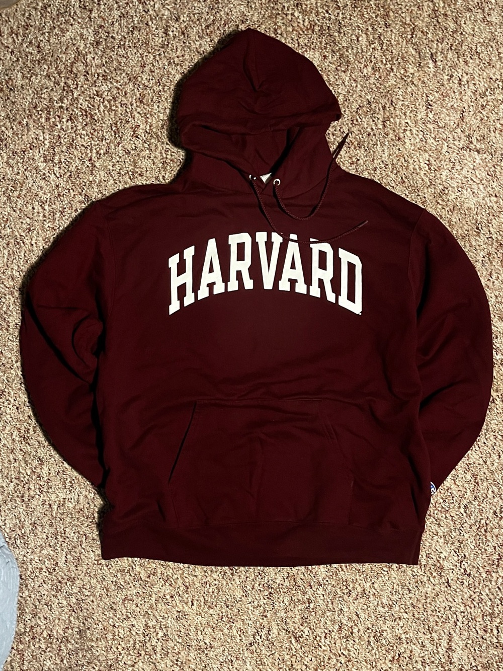 Harvard Champion Pullover Hoodie